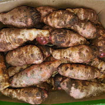 Fresh Ugandan Cocoyam (Taro)(Kg)