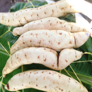 Fresh Ugandan Sweet Potatoes (White and Red Skinned)(Kg)